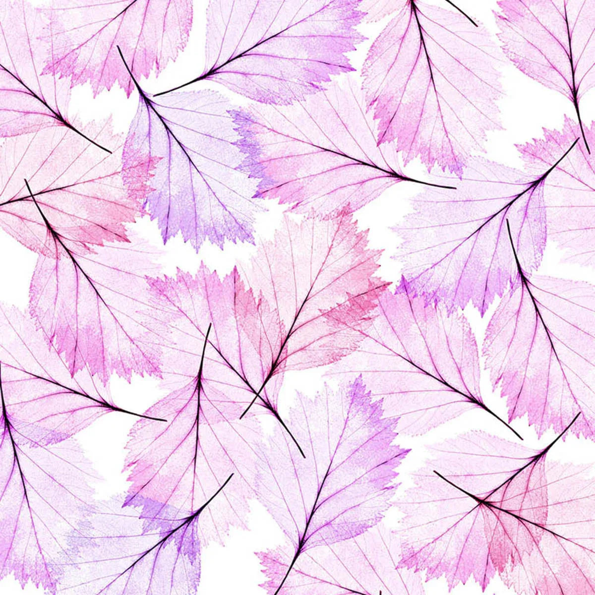 Leaves Modern