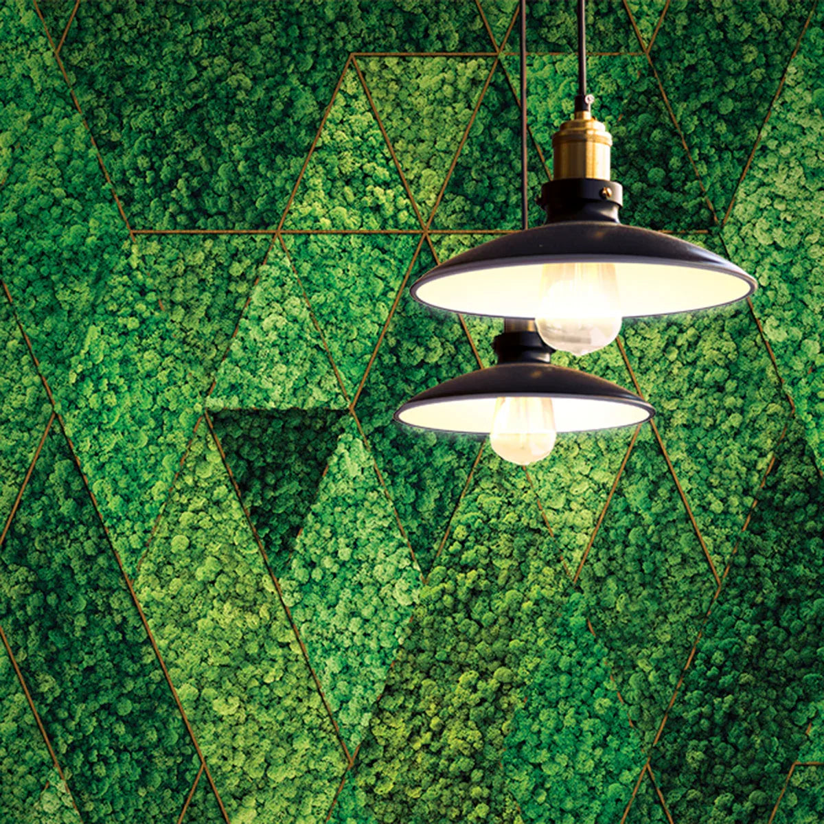 Living Wall