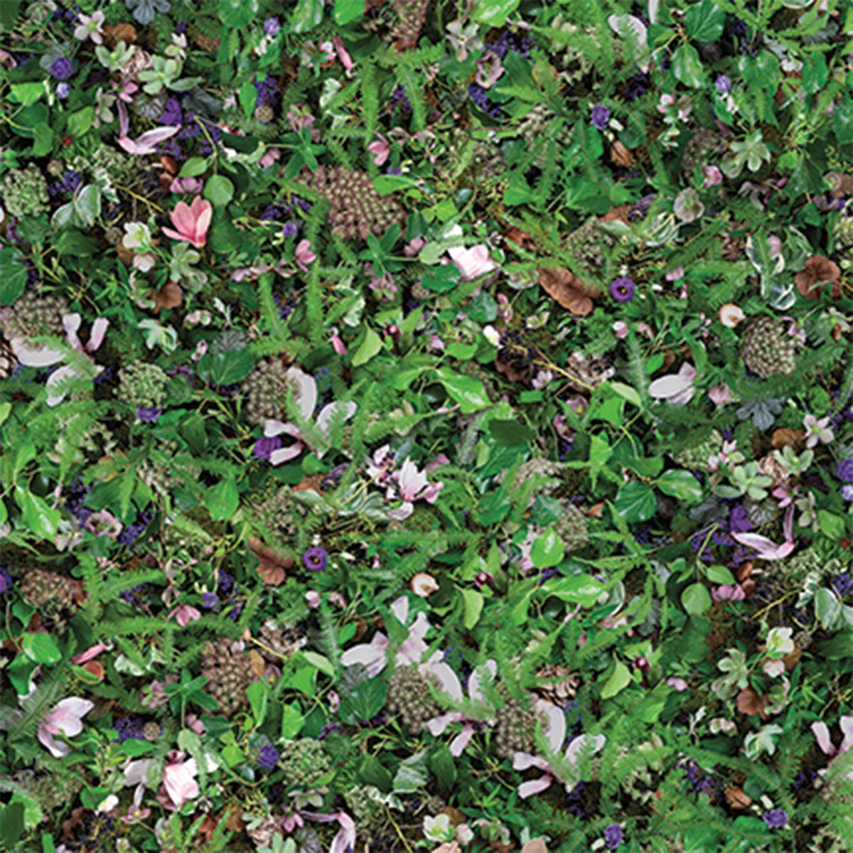 Living Wall