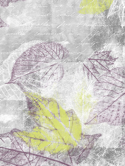 Whirlwind Window Film