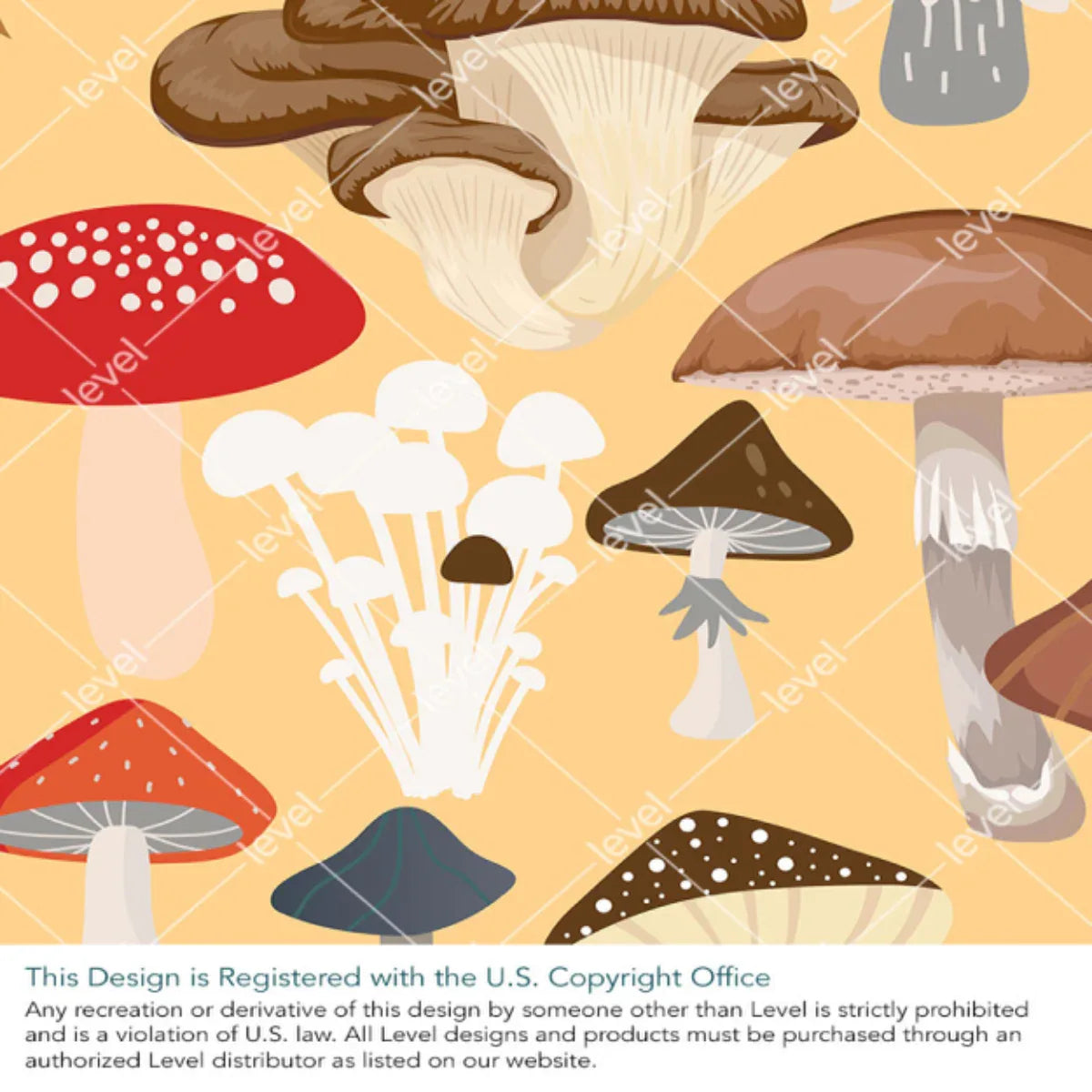 Magic Mushrooms
