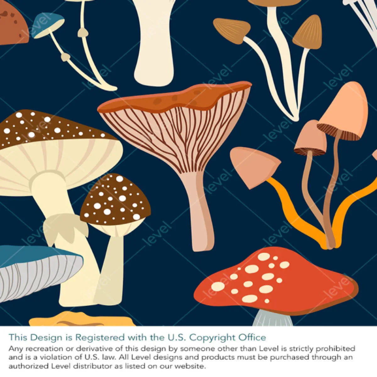 Magic Mushrooms