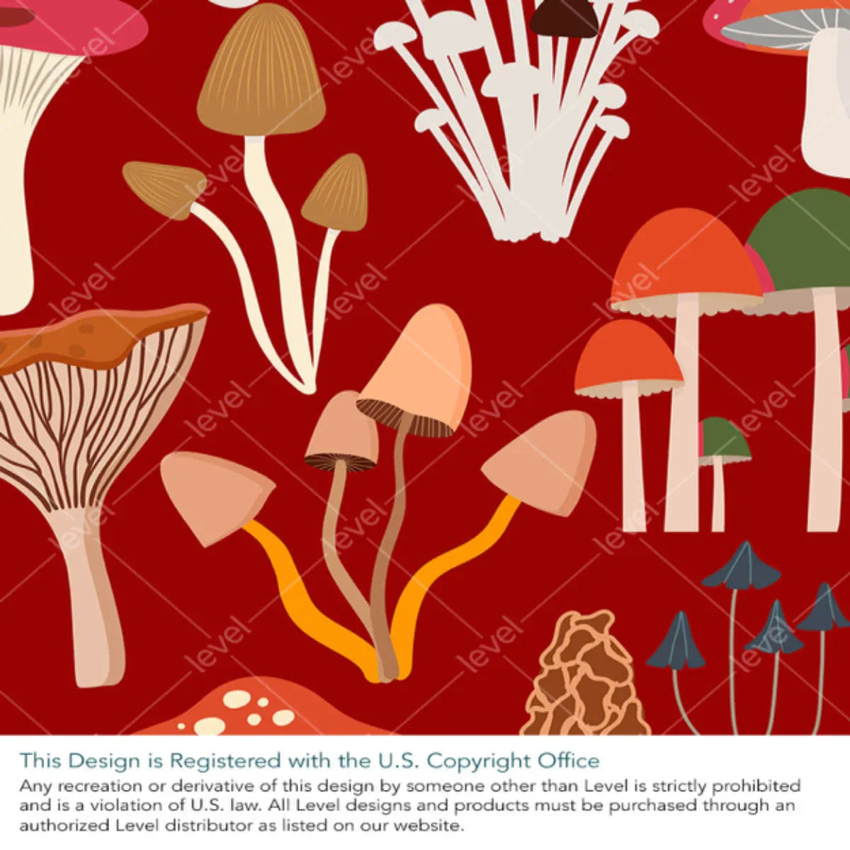 Magic Mushrooms