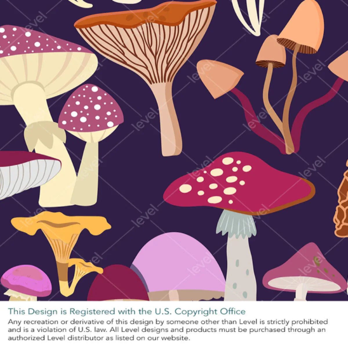 Magic Mushrooms
