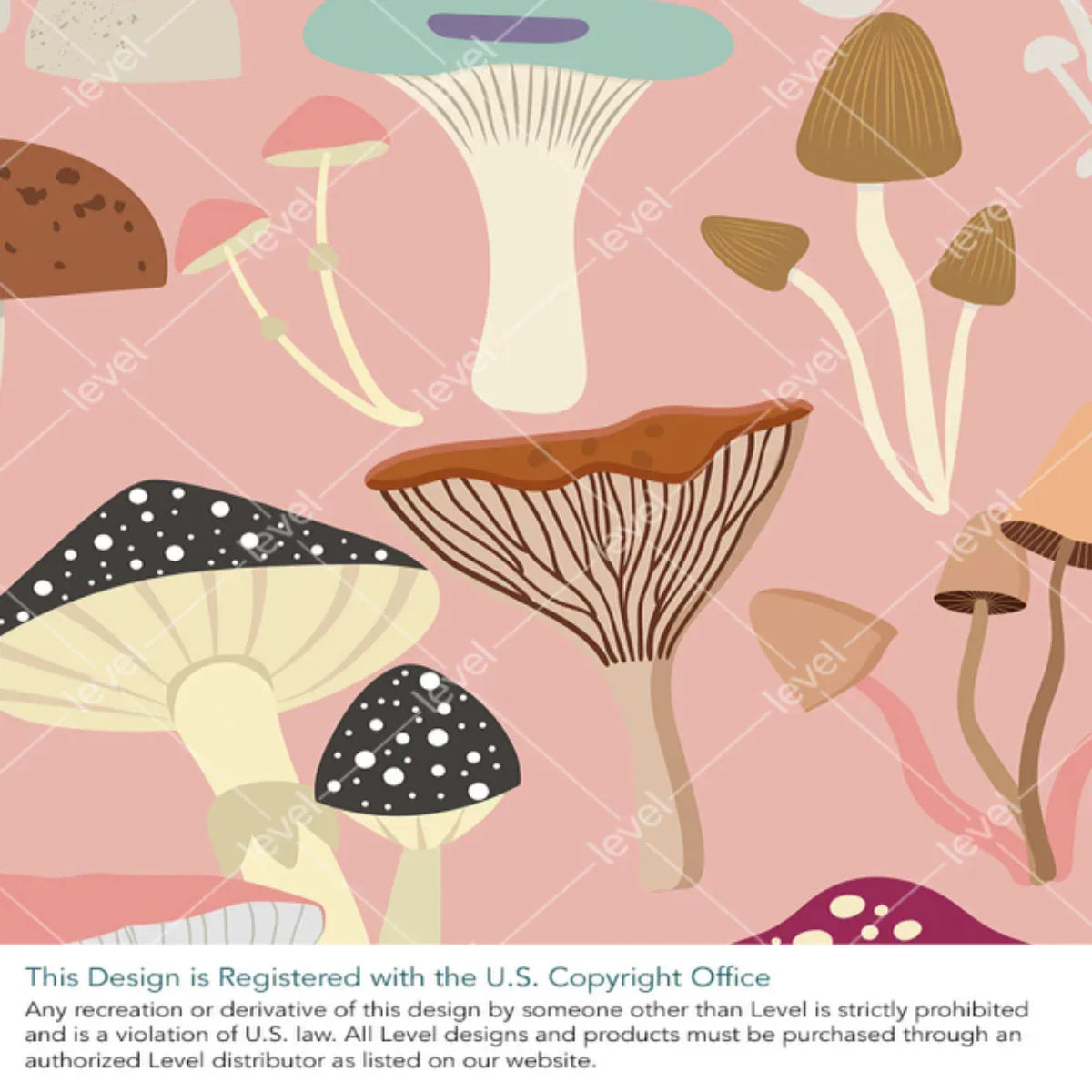 Magic Mushrooms