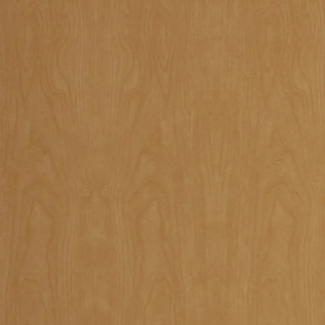 Light Maple – Surface Materials