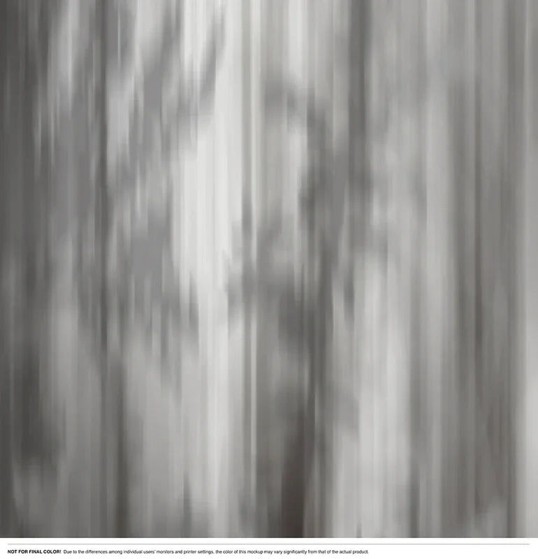 Misty Glade