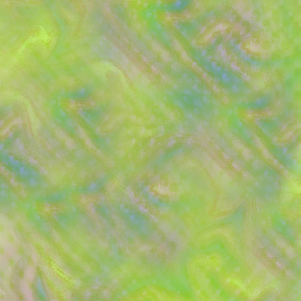 Nebula