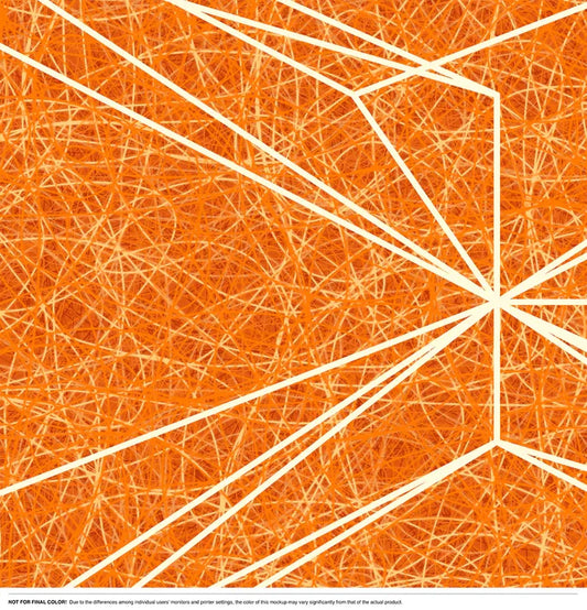 Network