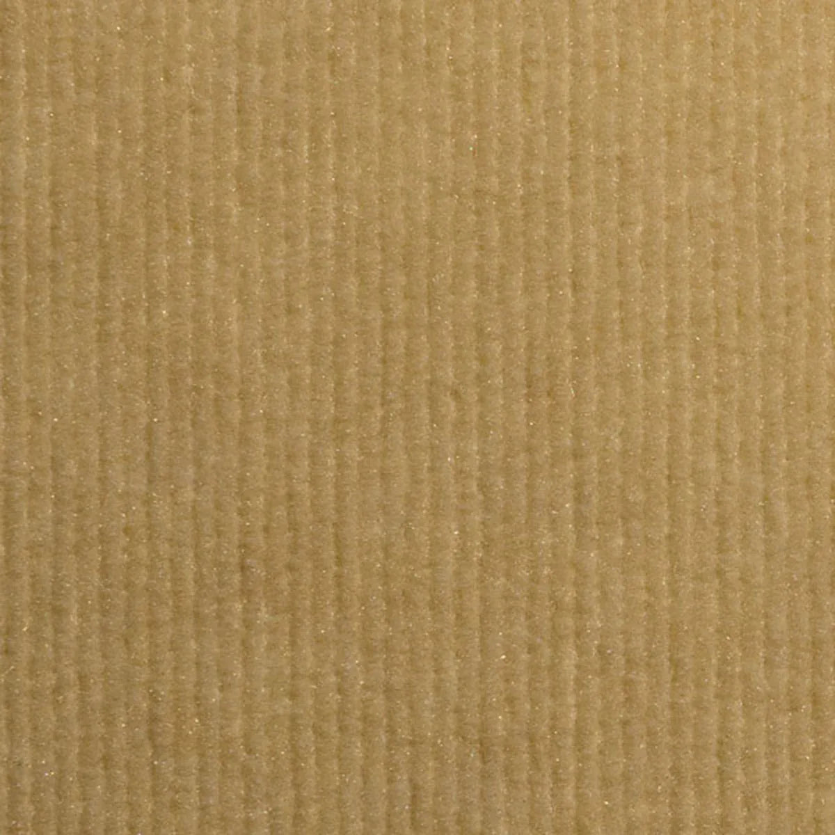 Ozite Rib
