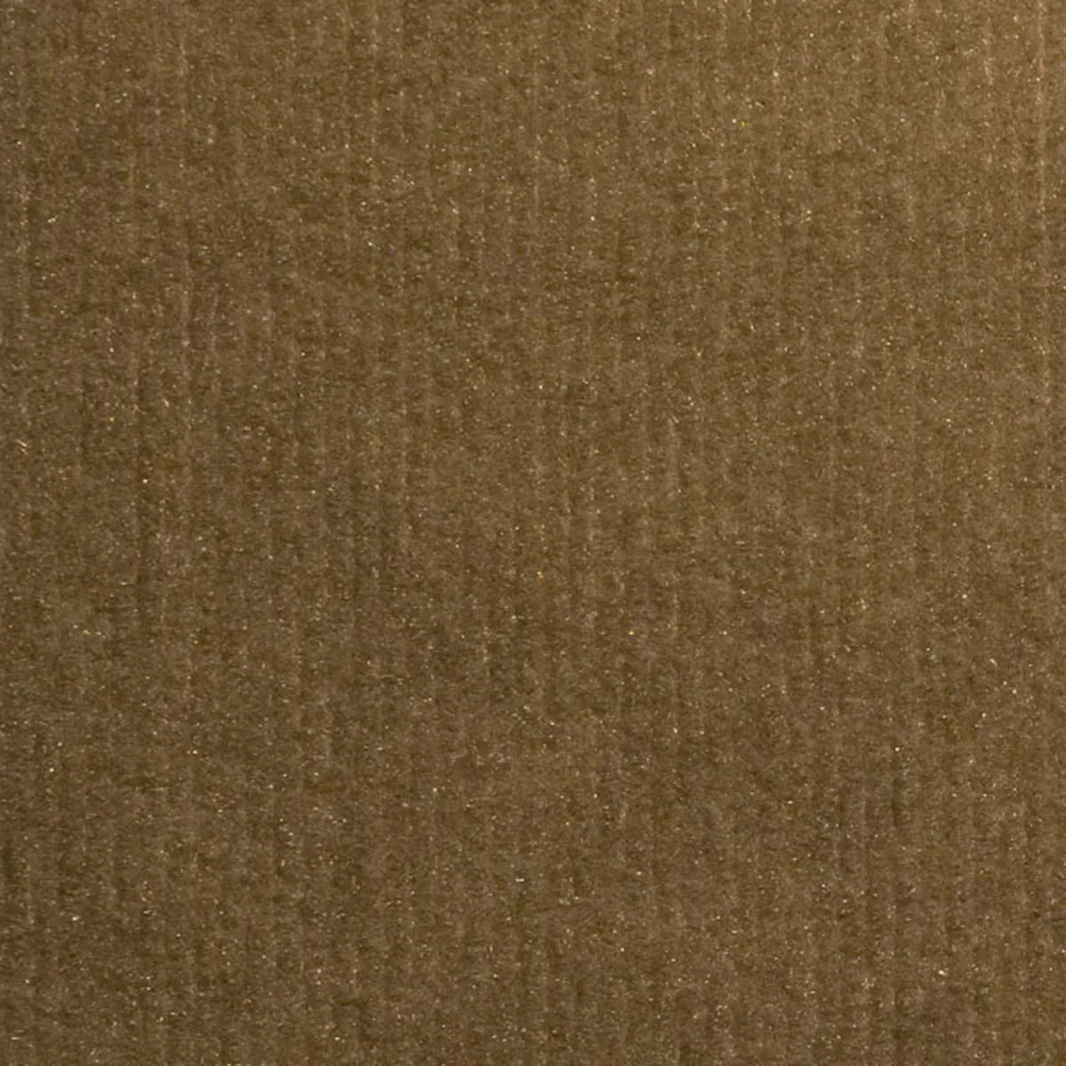Ozite Rib