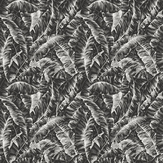 Palm Sketch