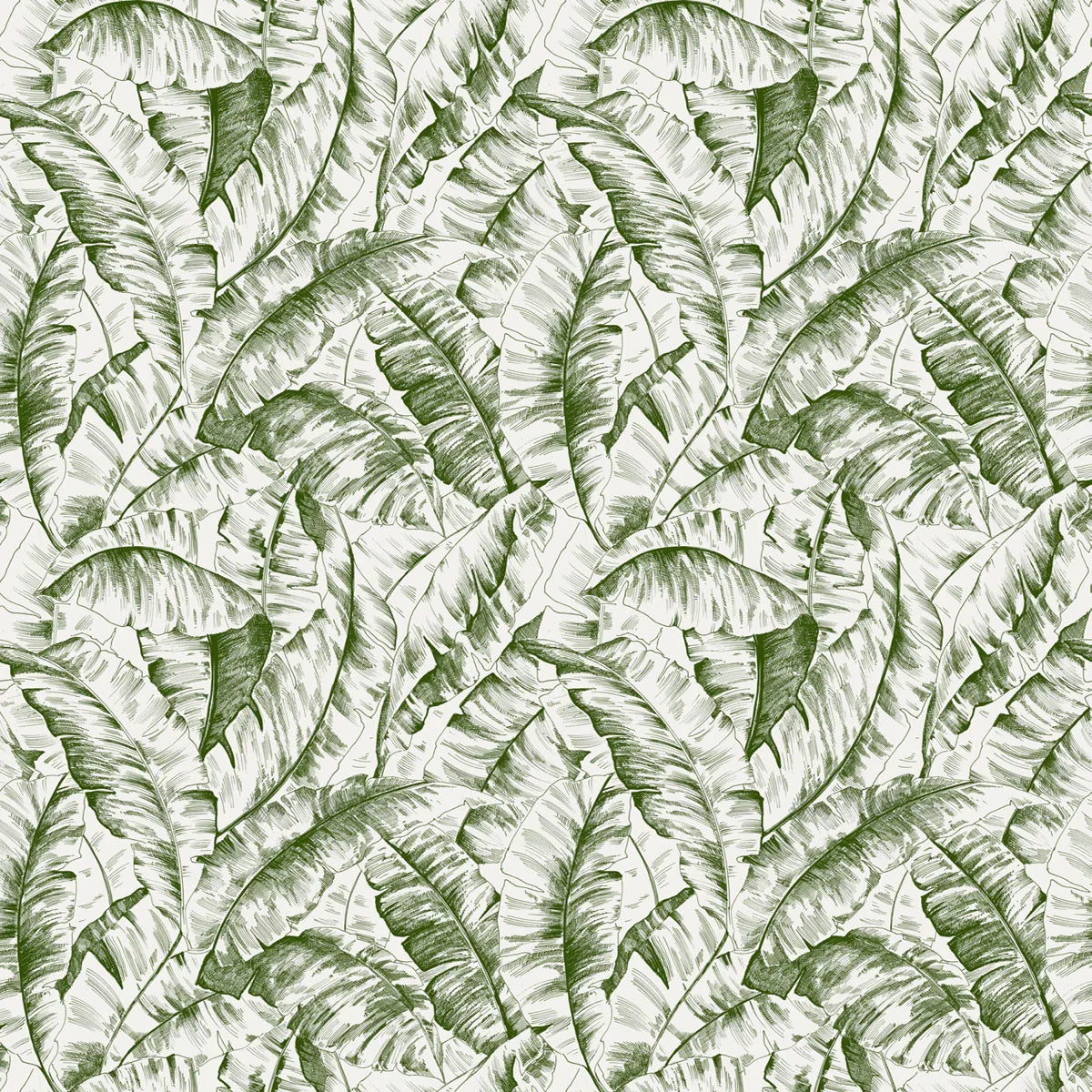 Palm Sketch