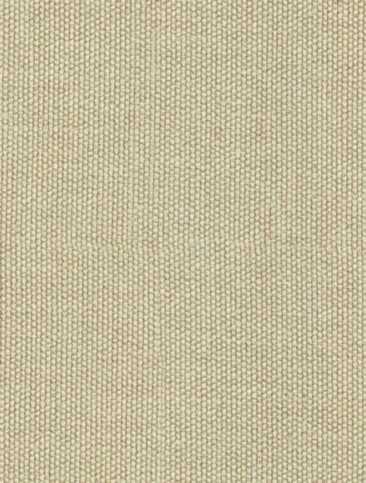 PG-954 Woven Earth