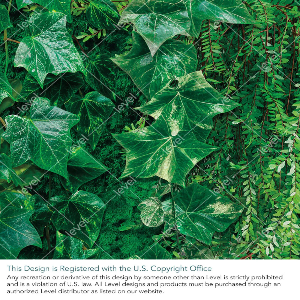 Plant Wall