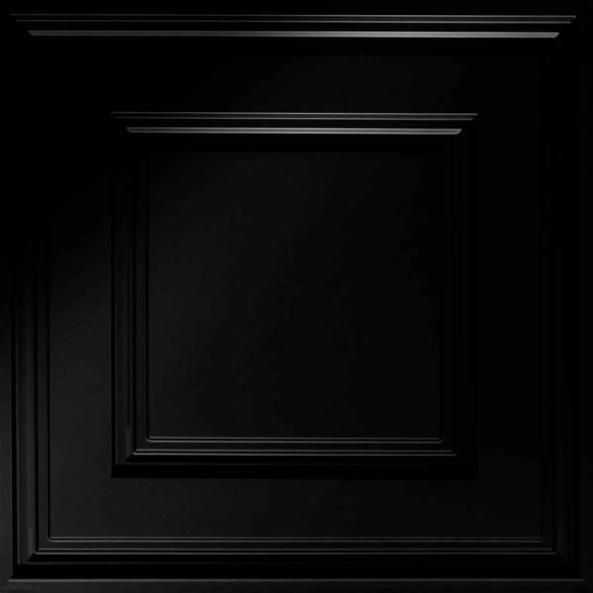 Raised Panel Coffer