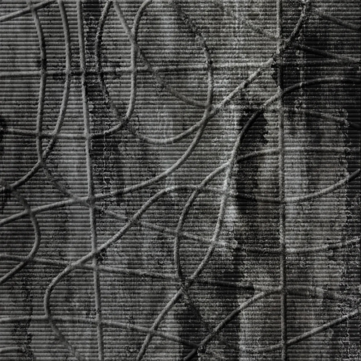 Random Lines