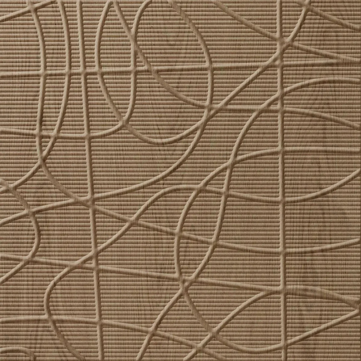 Random Lines