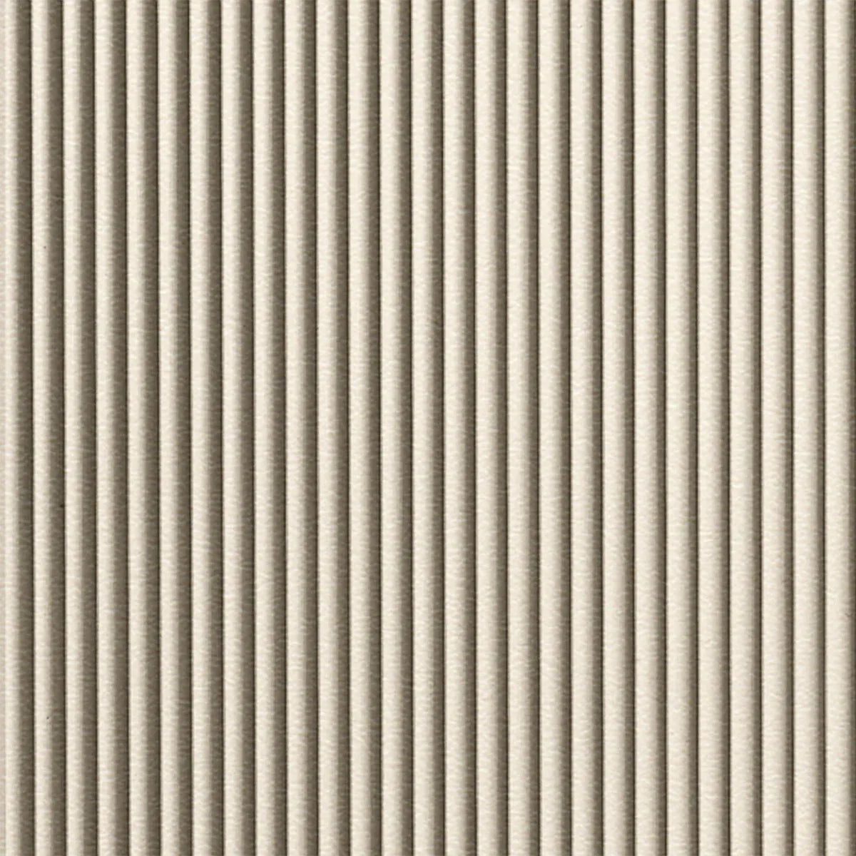 Rib 2