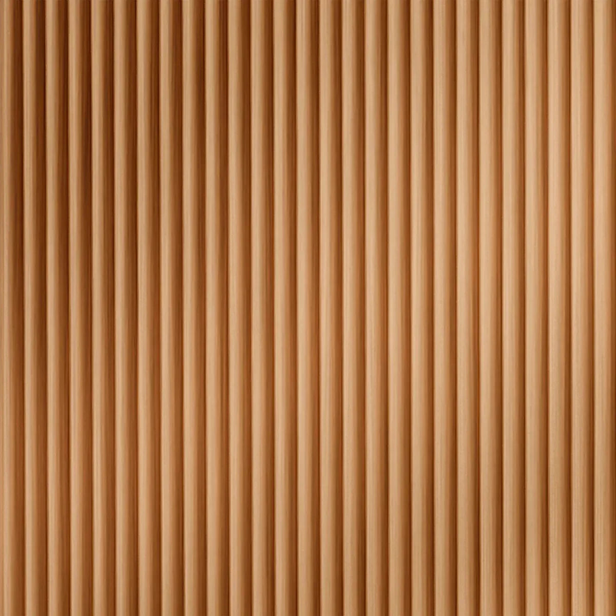 Rib 2