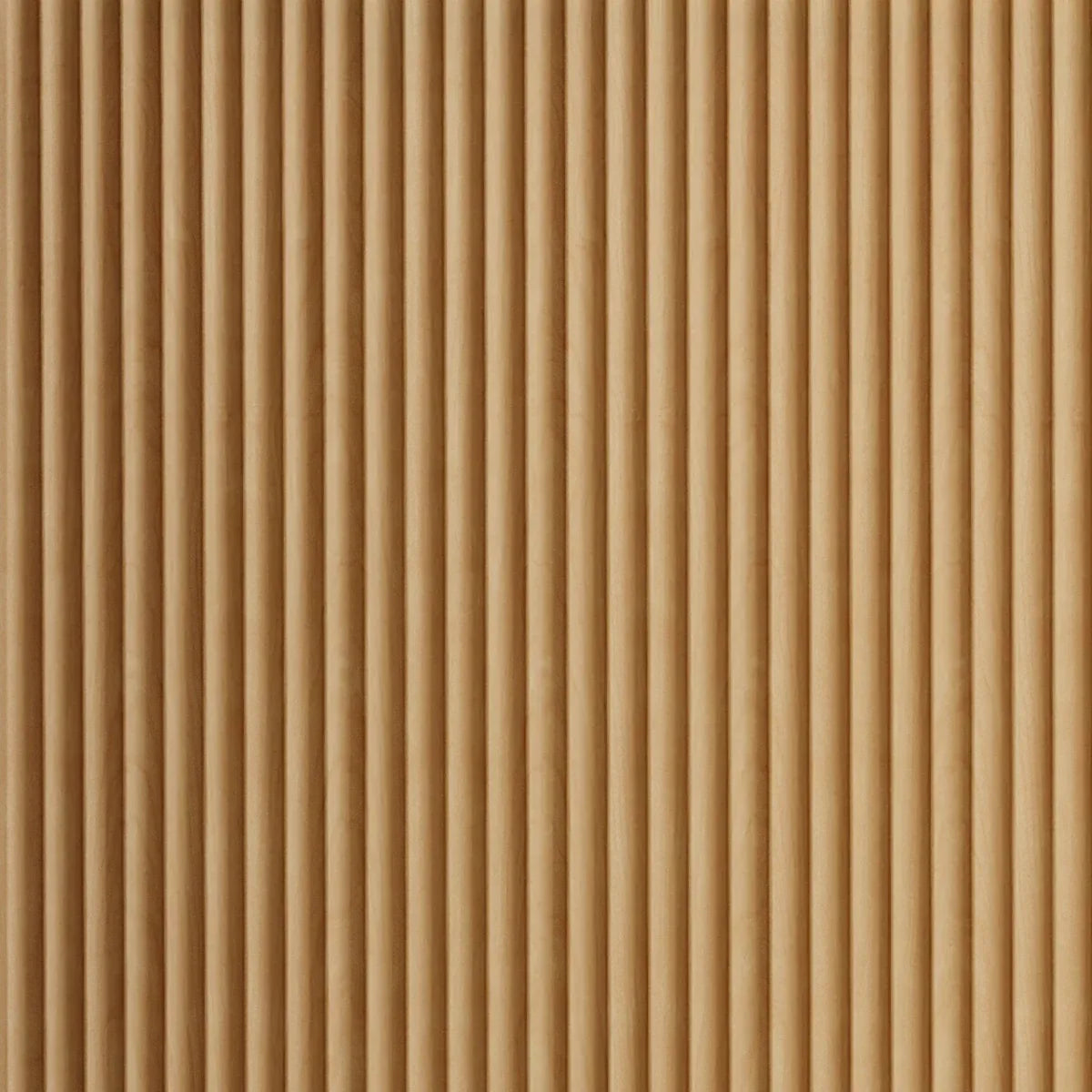 Rib 2
