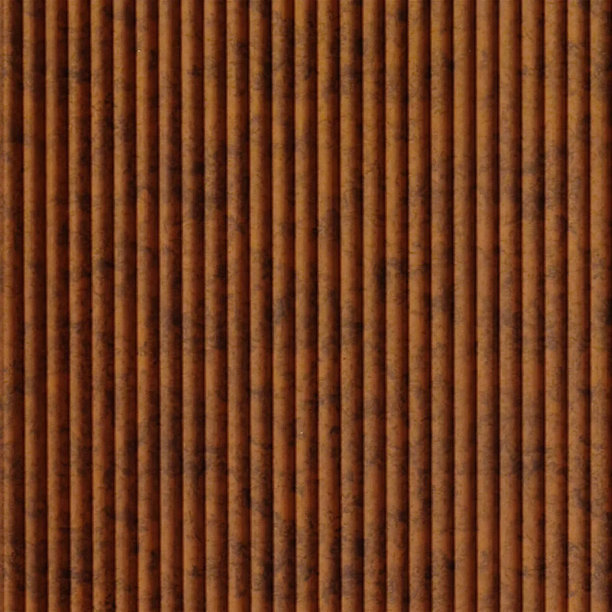 Rib 2