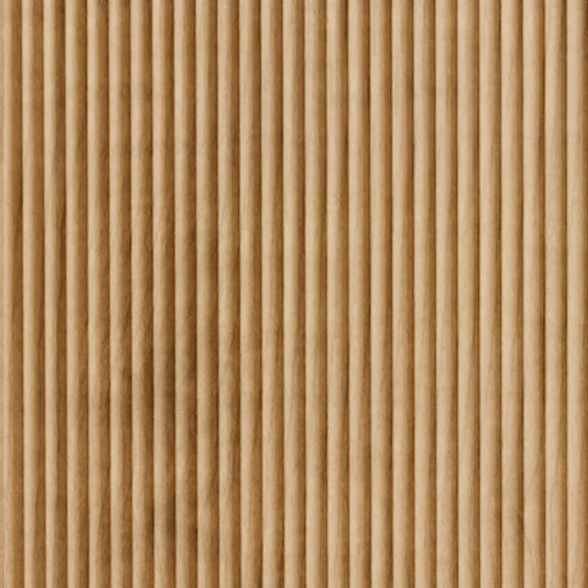Rib 2