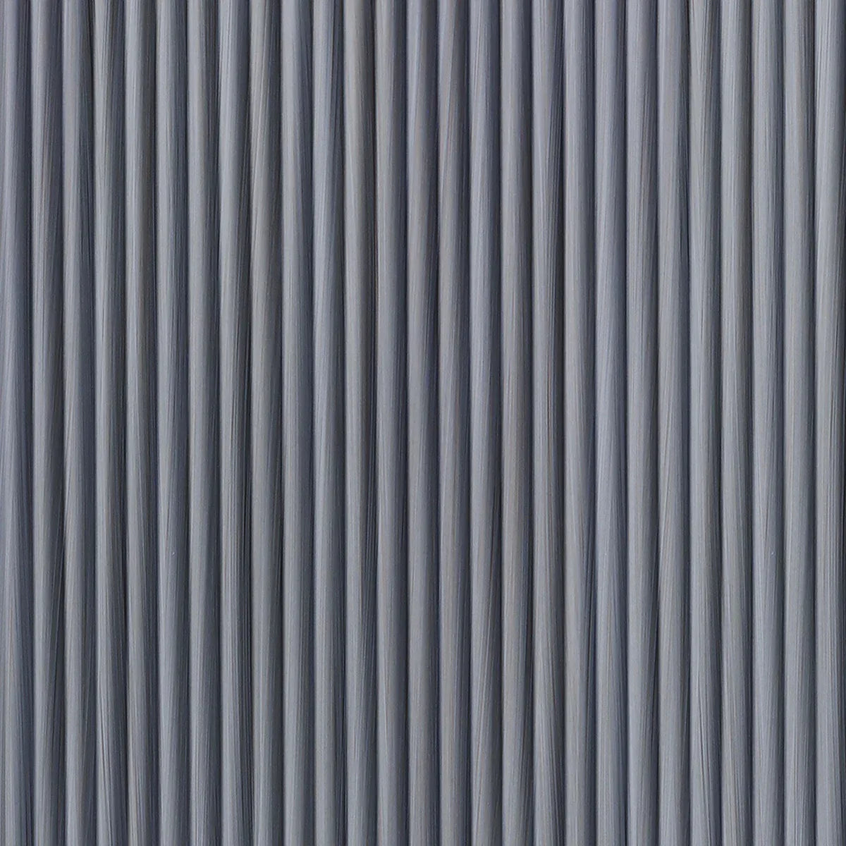 Rib 2