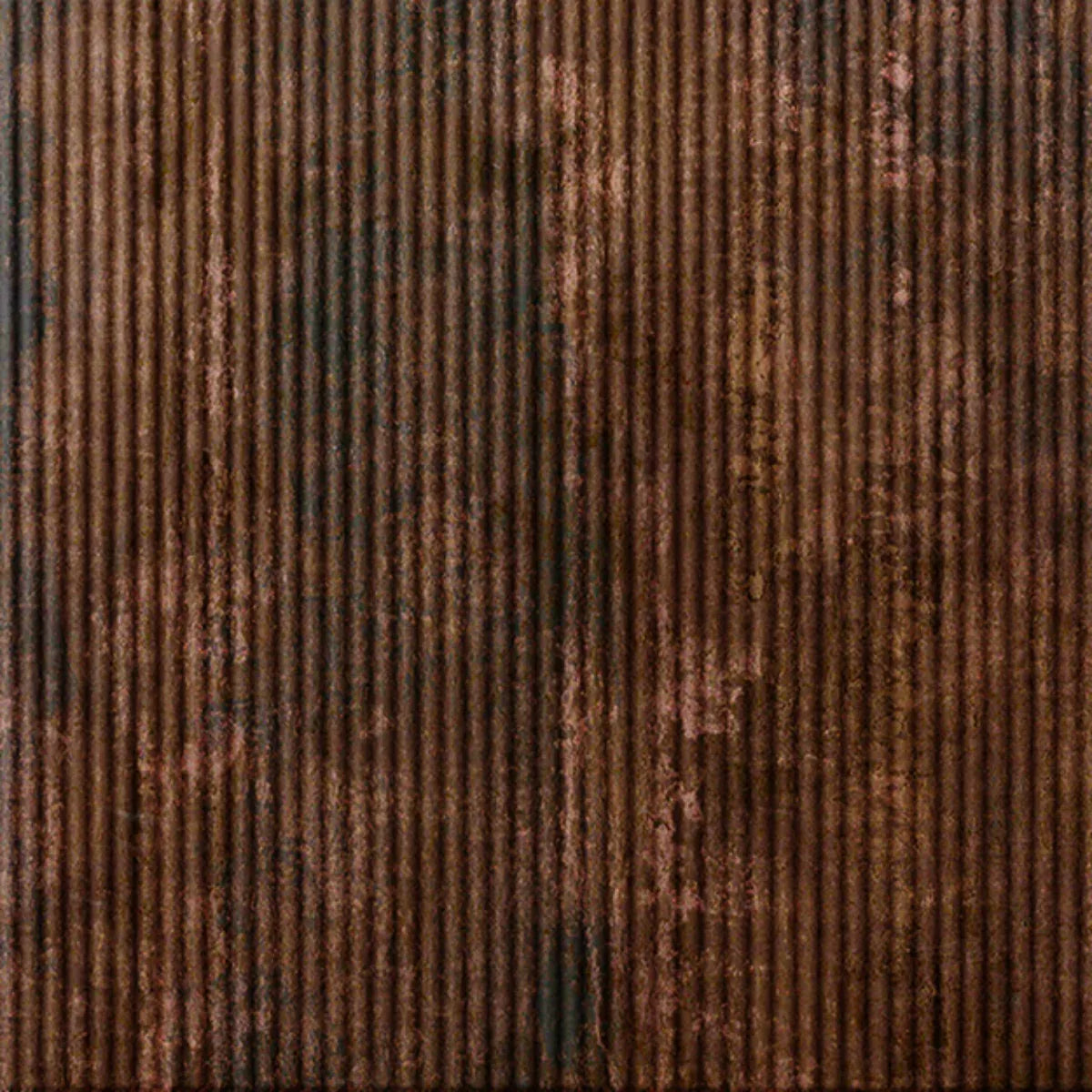 Rib 1