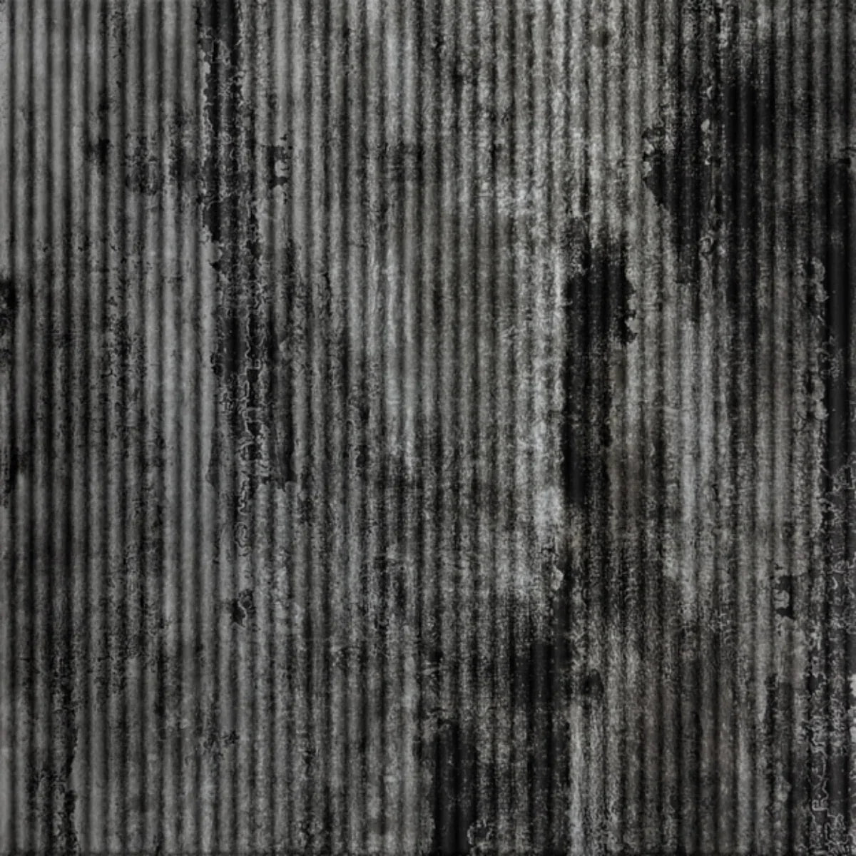 Rib 1