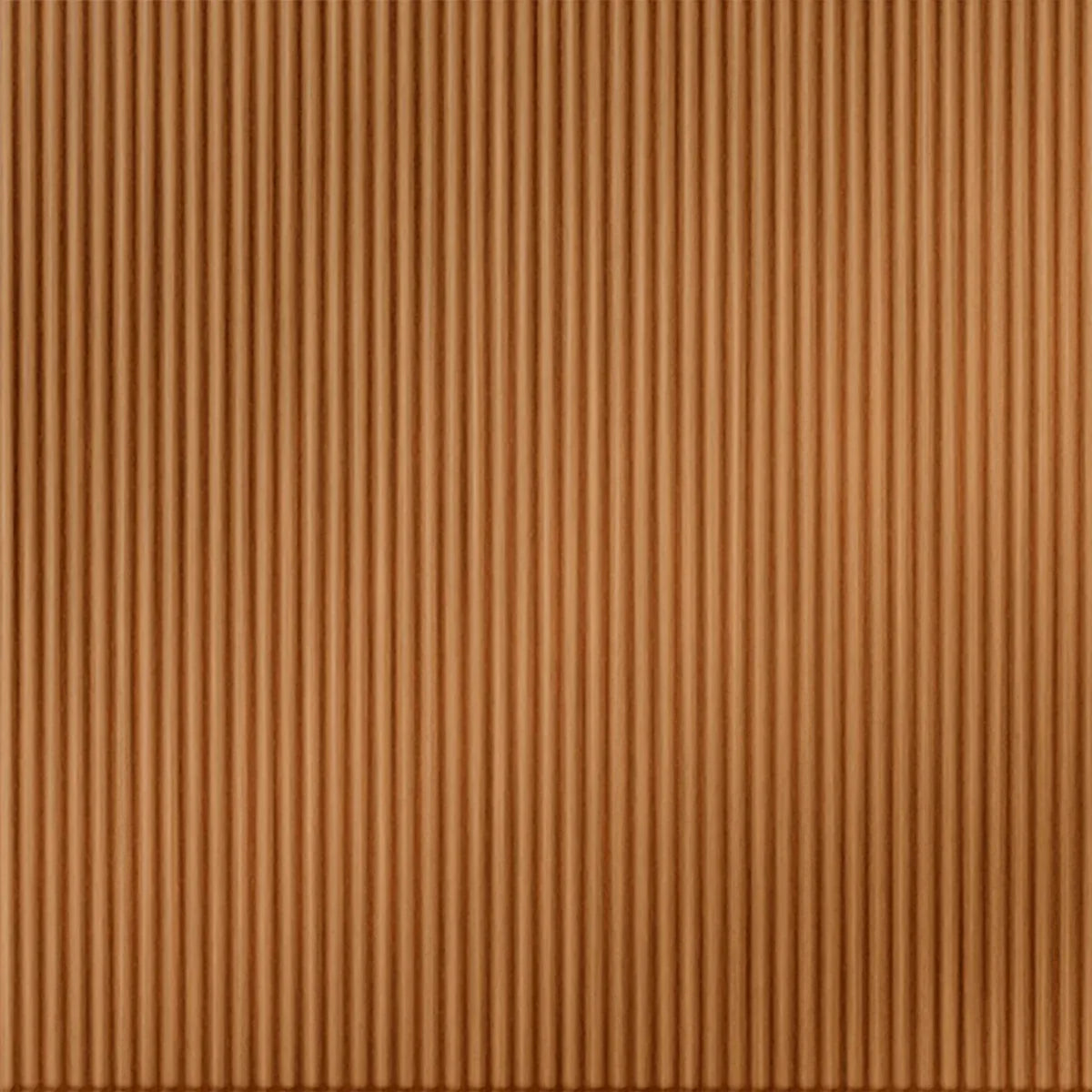 Rib 1