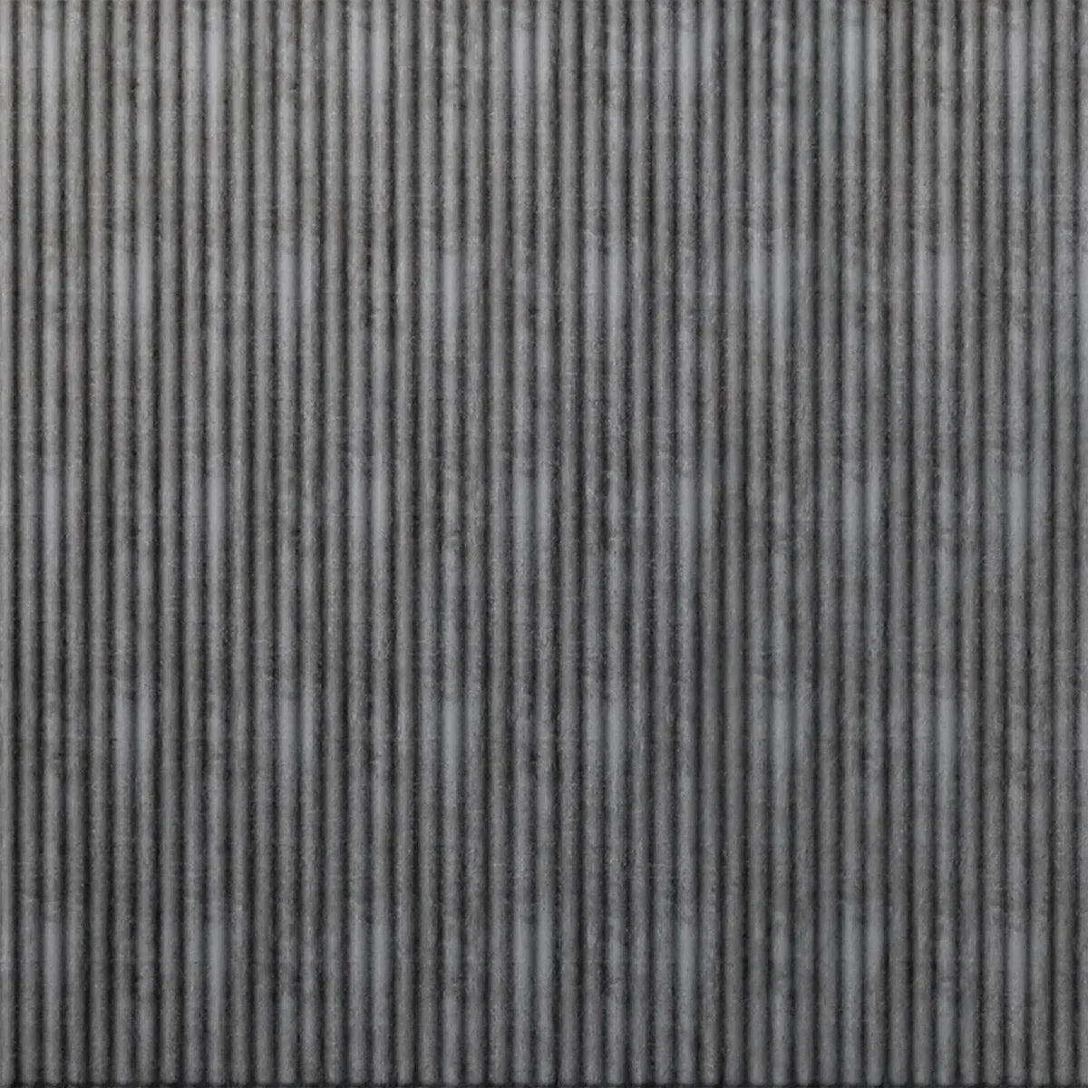 Rib 1