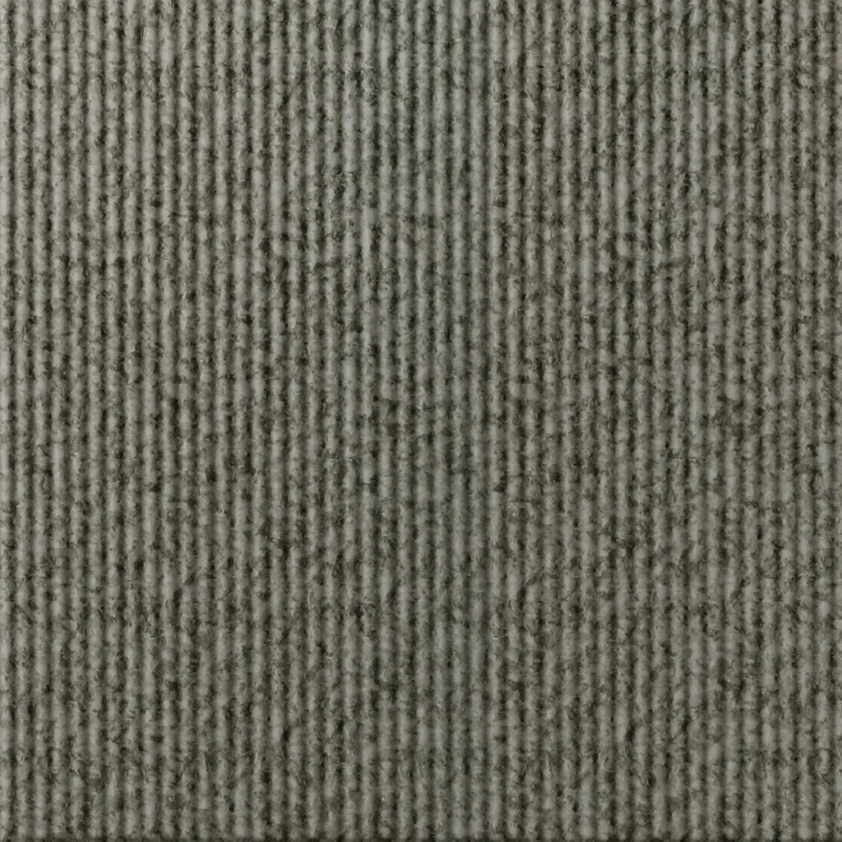 Rib 1