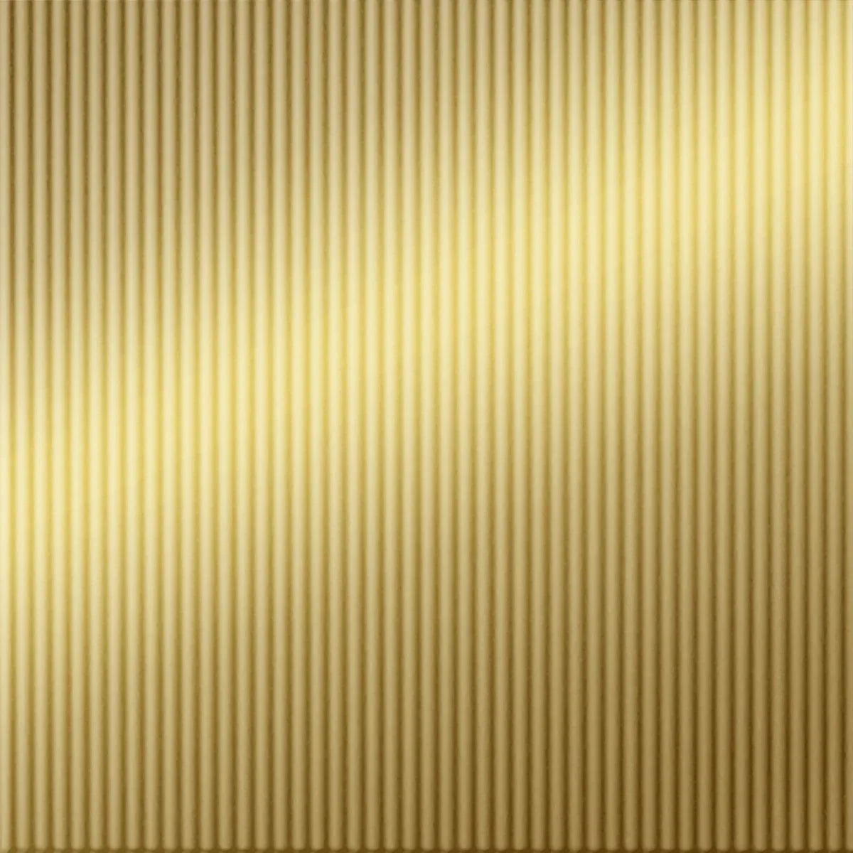 Rib 1