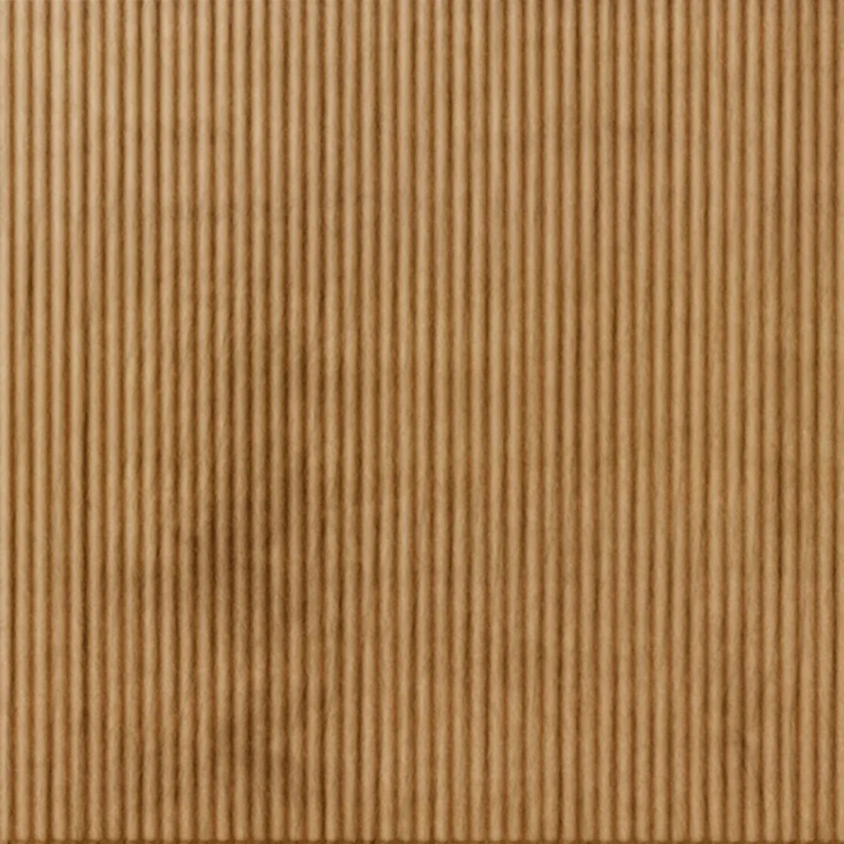 Rib 1