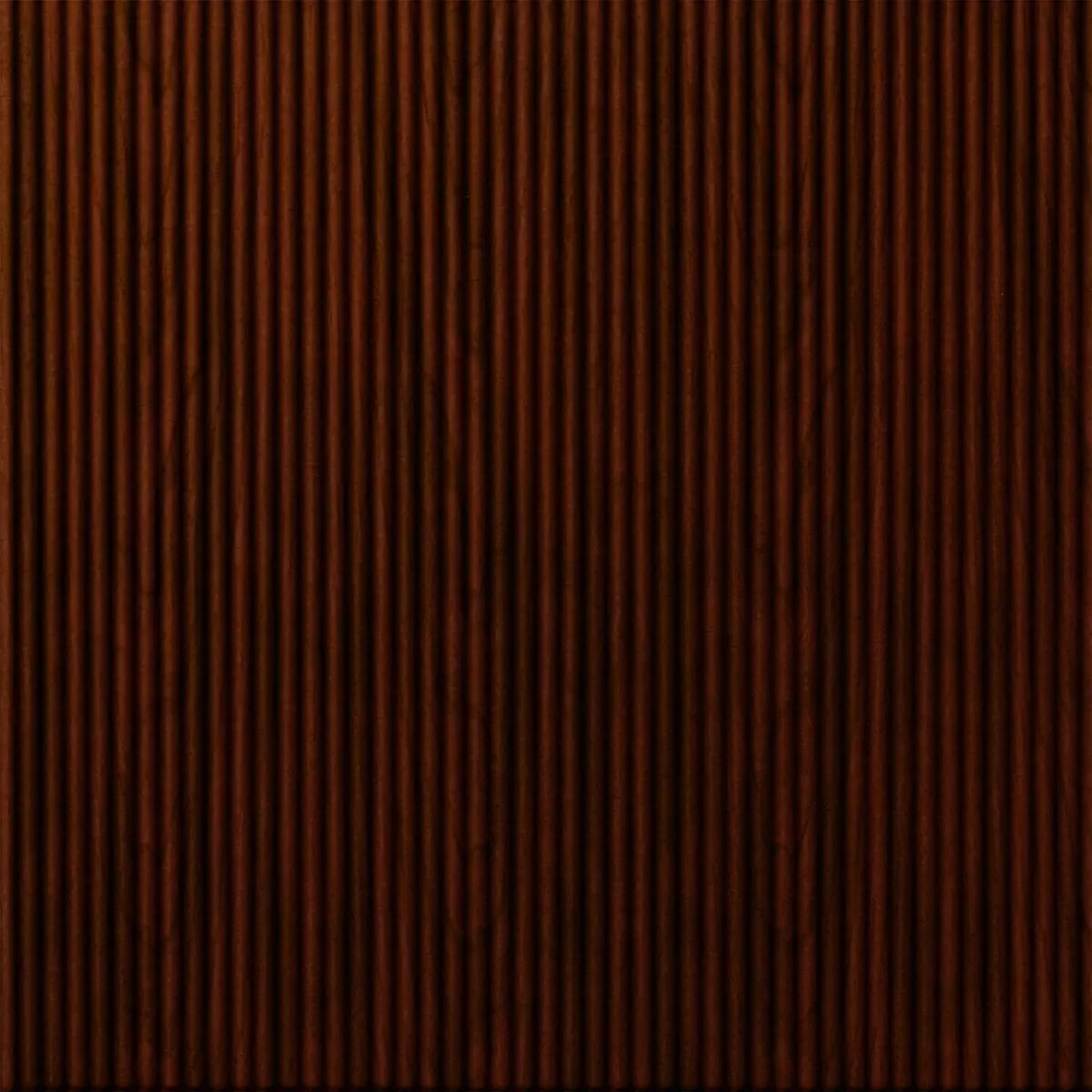 Rib 1