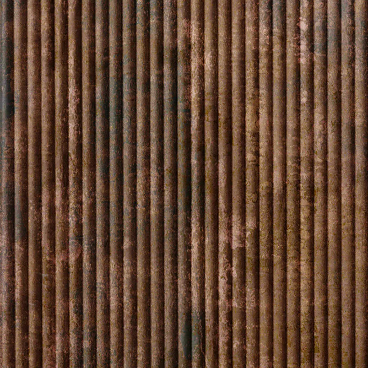 Rib 2