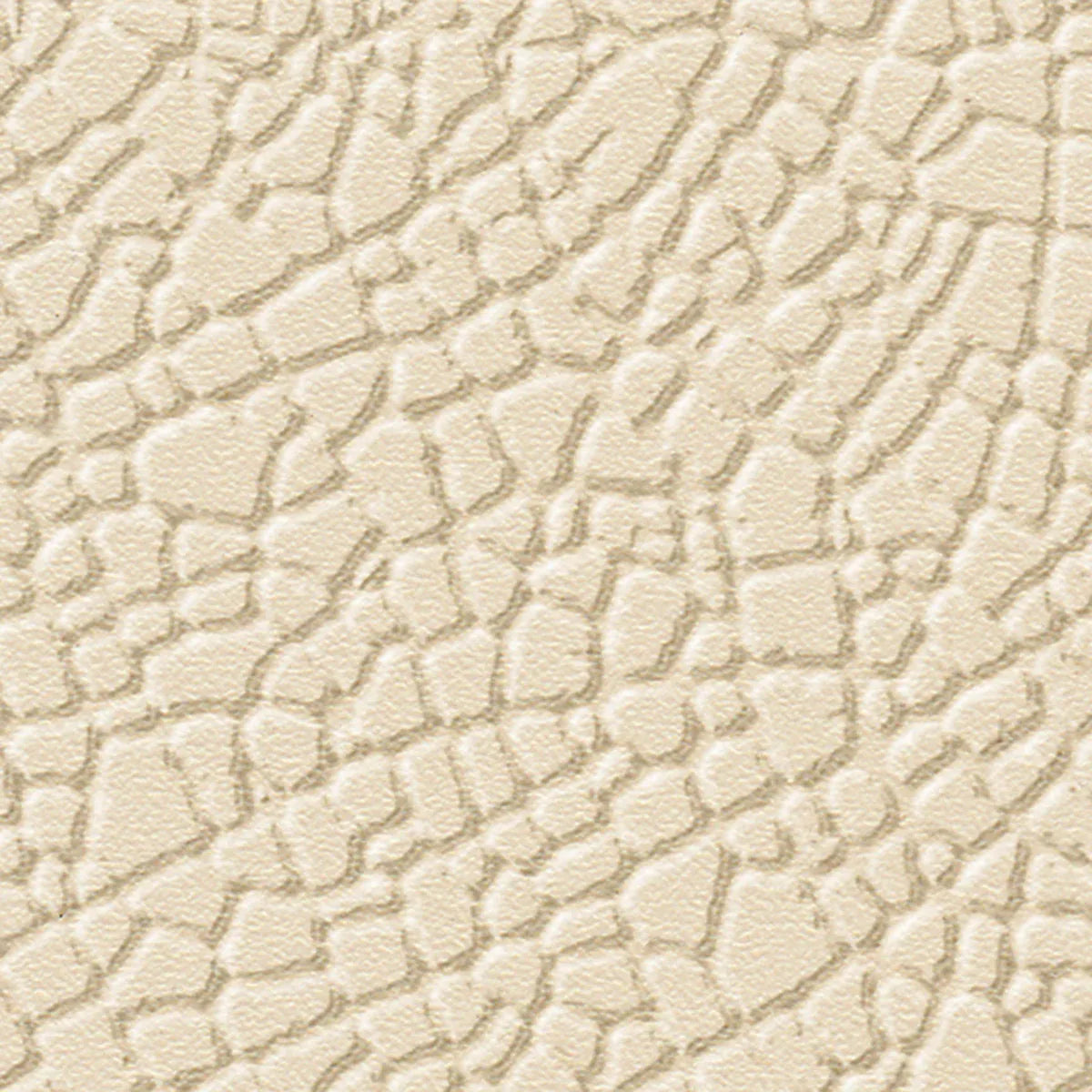 Safari