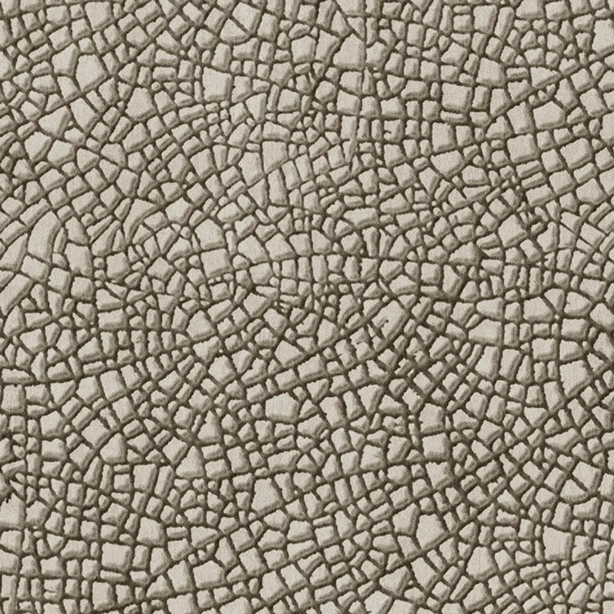 Safari