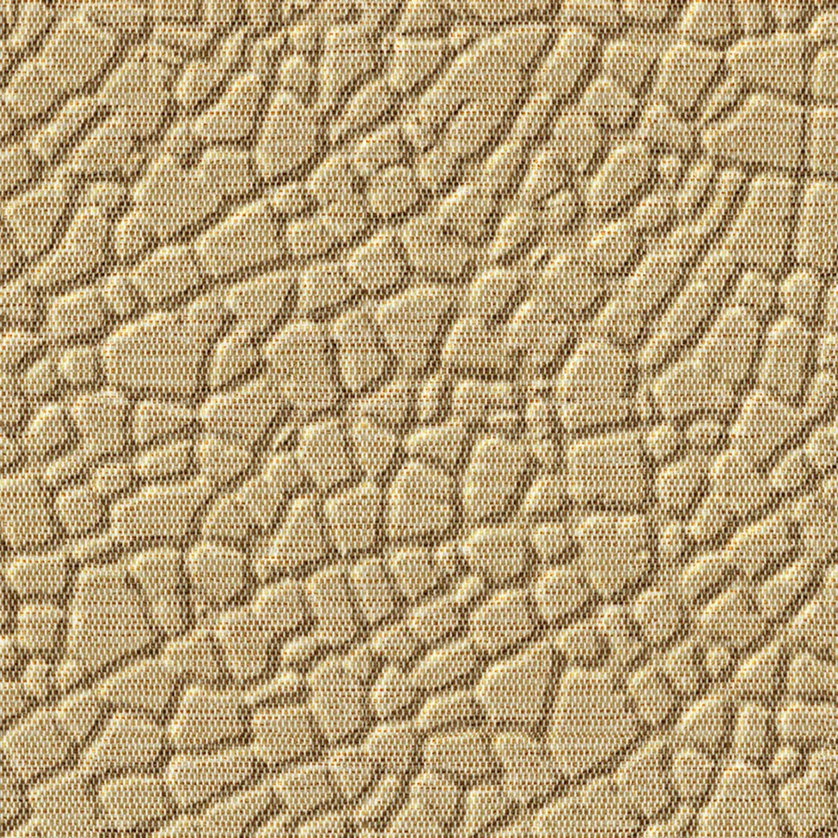 Safari