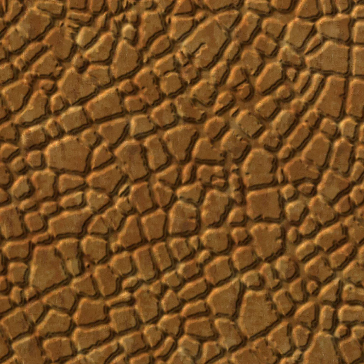 Safari