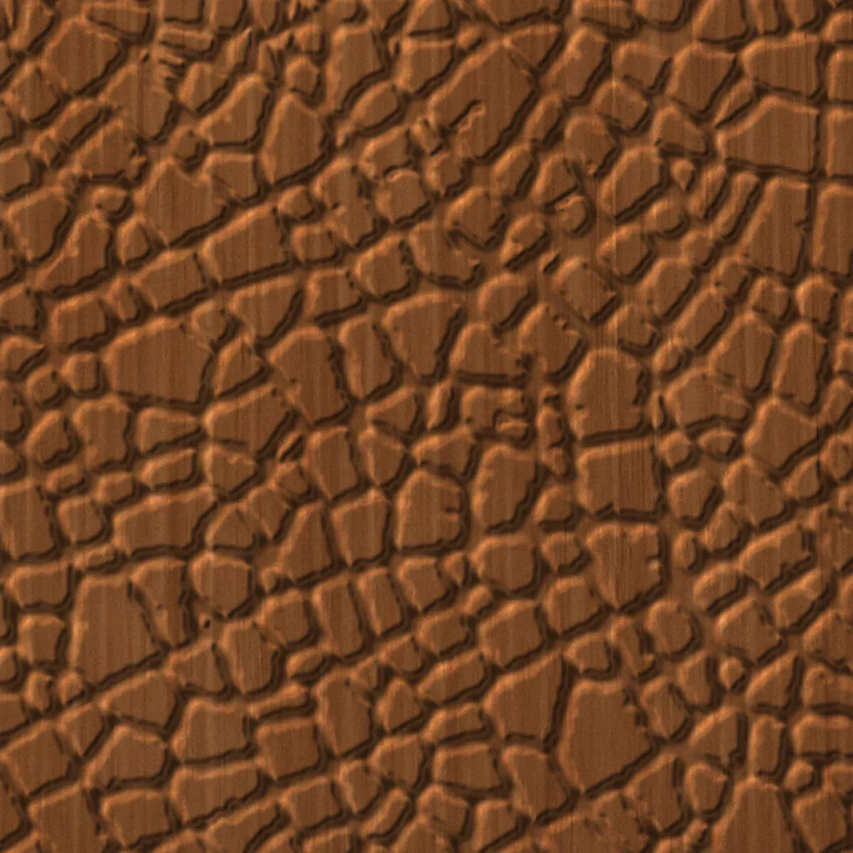 Safari