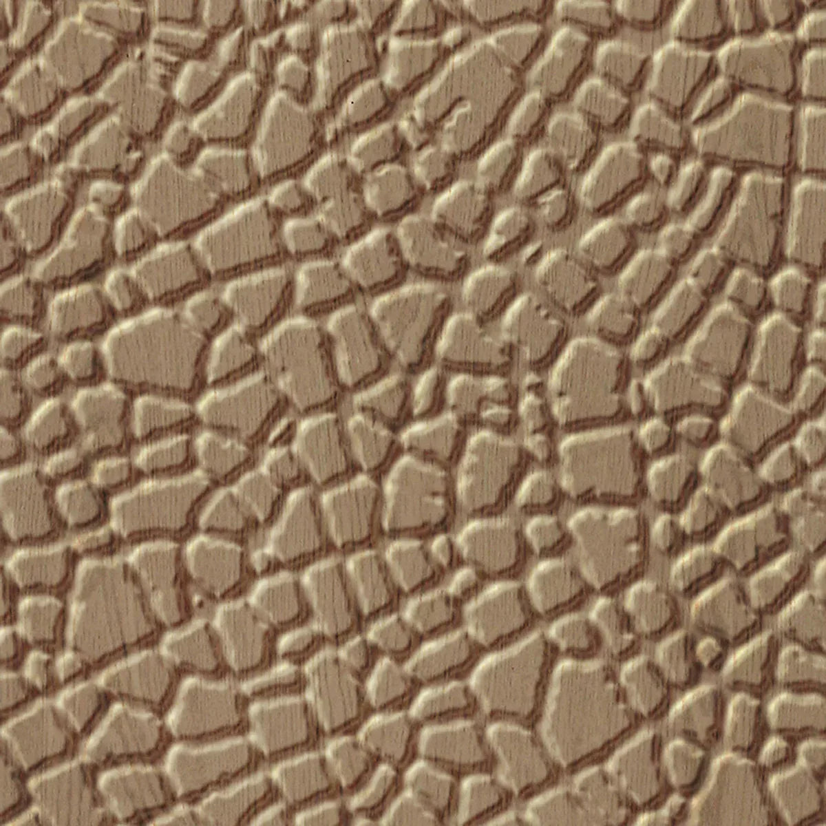 Safari