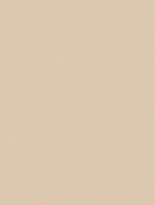 Sandstone 2119