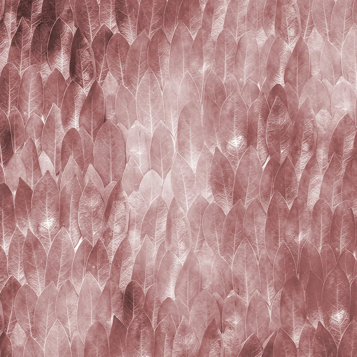 Secret Life of Leaves