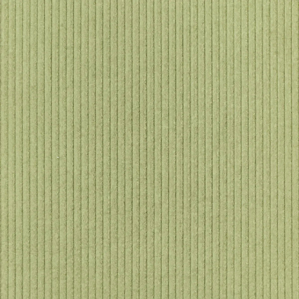 Ridge