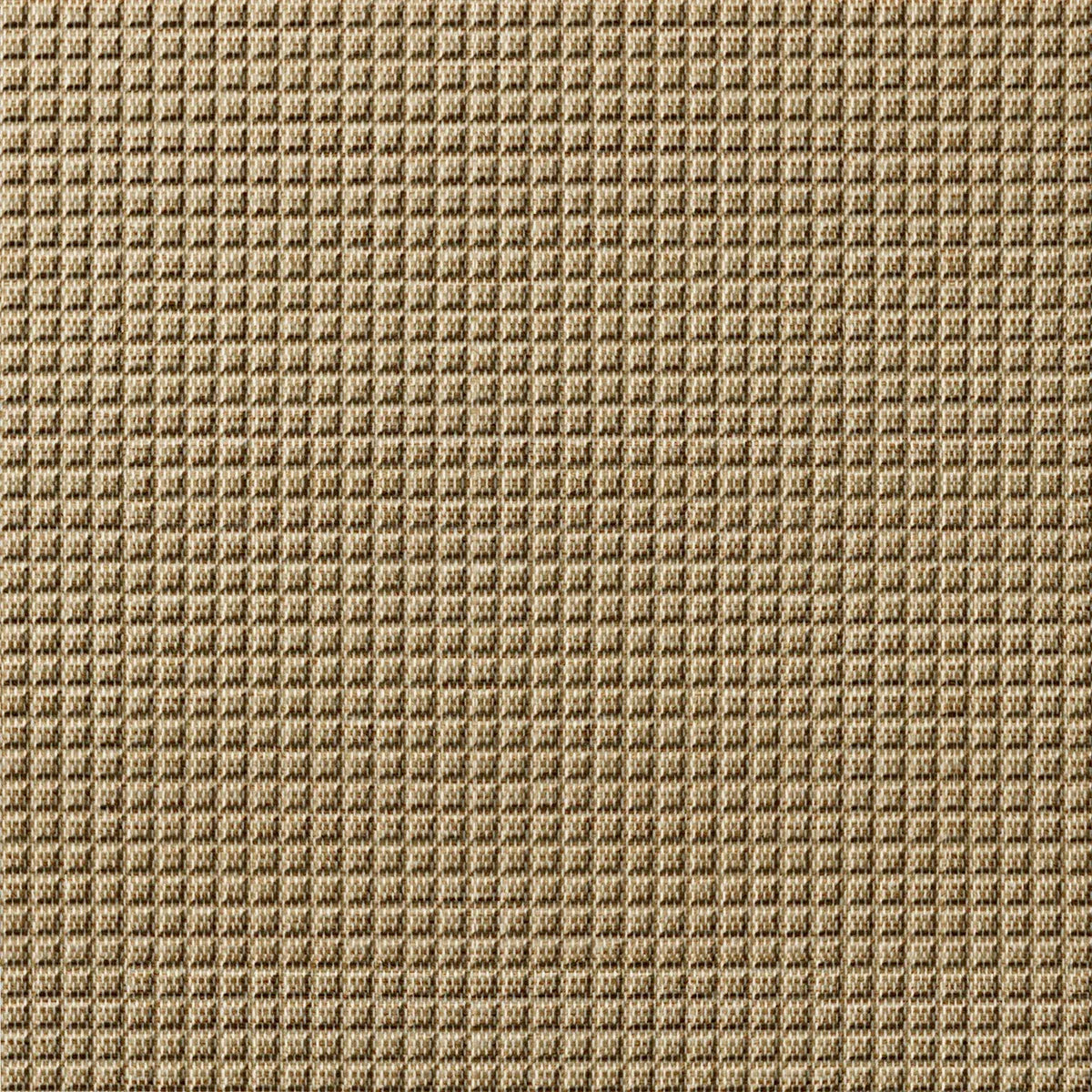 Square 5