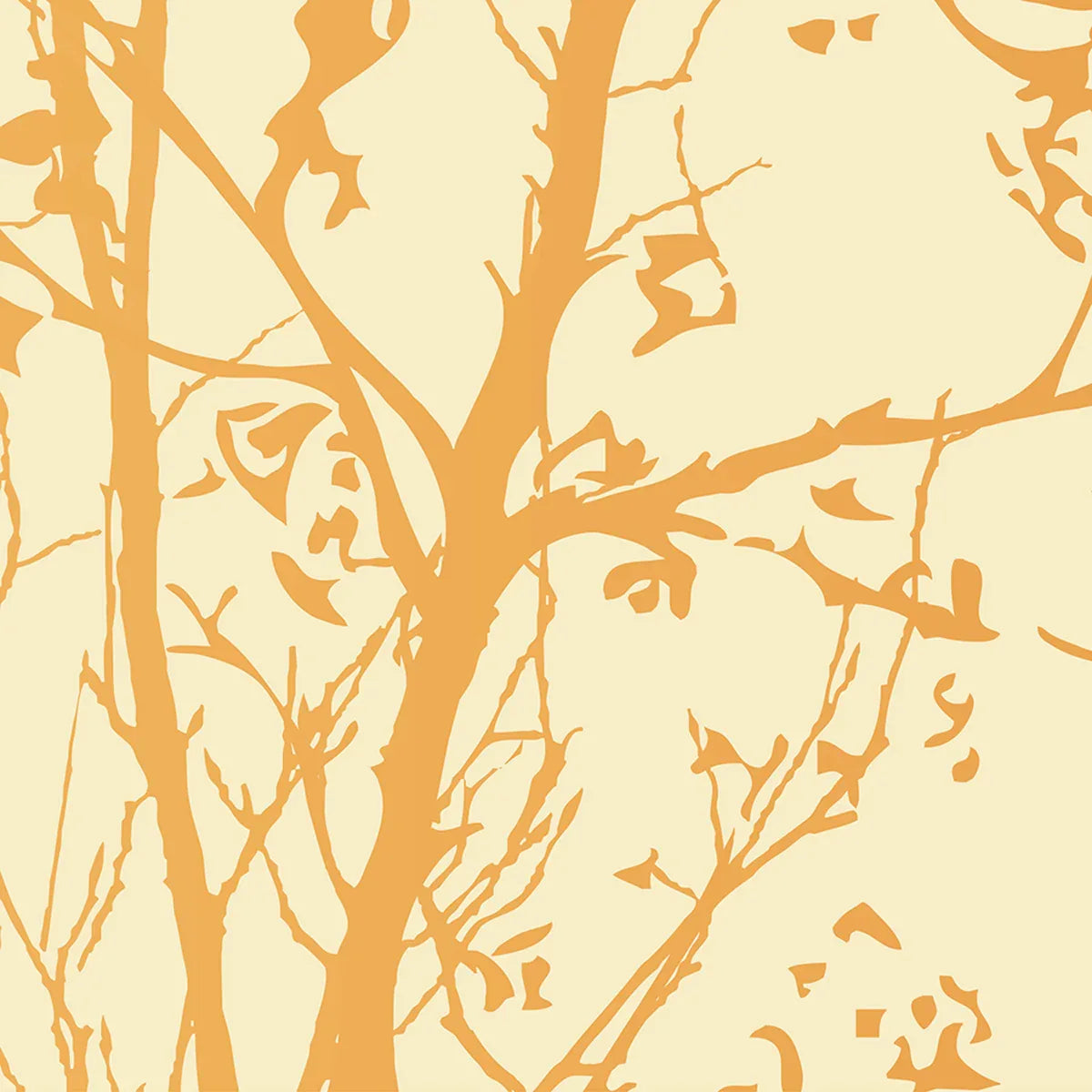 Sycamore