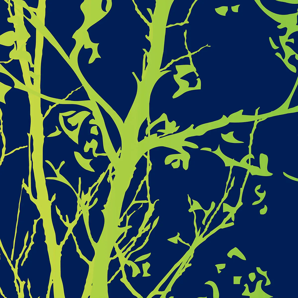 Sycamore