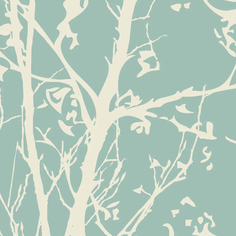 Sycamore